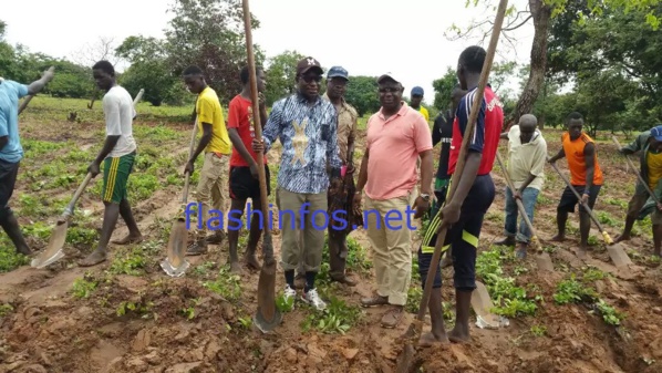 BIGNONA : Mamina Kamara et Keita en "action" à Kagnobon pour une production agricole