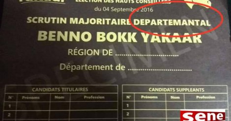 Affiches : Après le « foie » du référendum, le « Départemantal » du Hcct