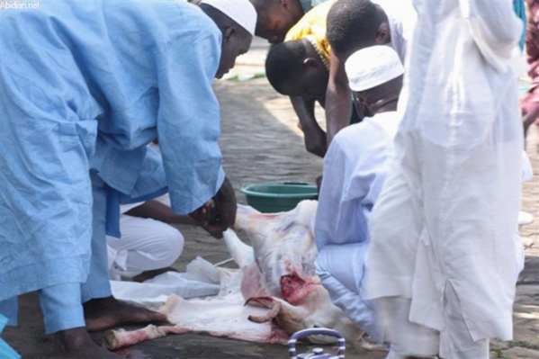 REVELATION : Des Imams sans moutons de Tabaski à Ziguinchor