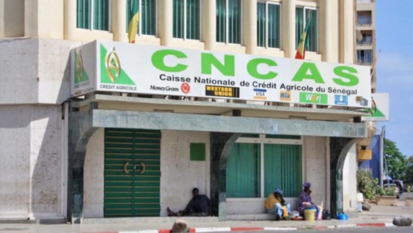 80 MILLIARDS DANS LE VENT : CNCAS, sur les traces d’un scandale qui éclabousse Malick Ndiaye