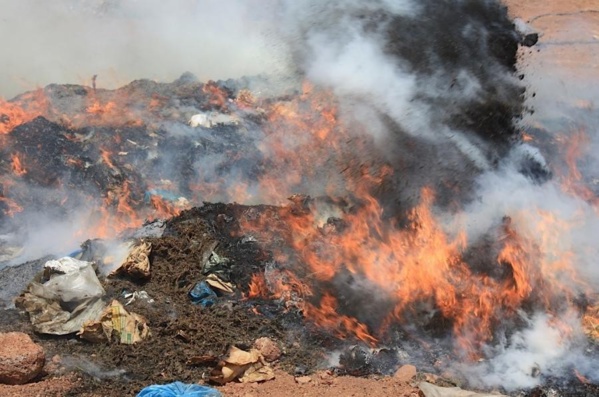 Plus de 2 tonnes de drogues incinérées à Dakar