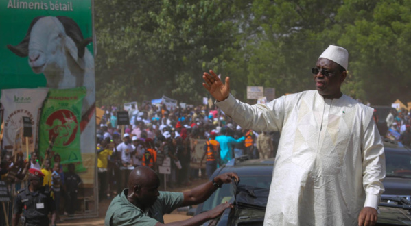 Kolda : Macky Sall déclare la guerre aux voleurs de bétail