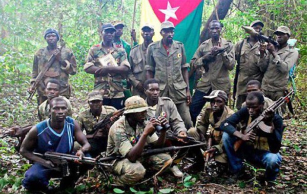 Casamance : Libération de deux prisonniers du MFDC par l'armée