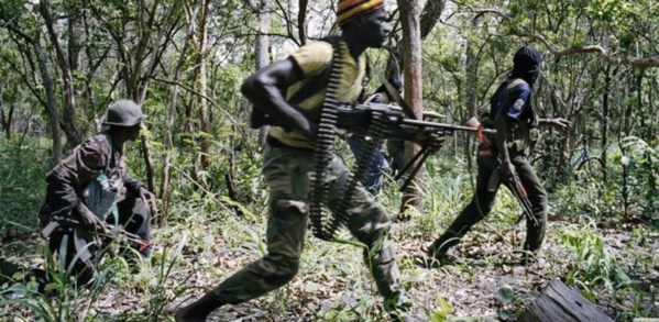 Casamance : 13 exploitants forestiers tués et 9 blessés à Boffa...