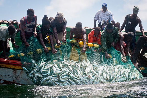 PECHE ILLICITE ET NON REGLEMENTEE : Le Sénégal perd 150 milliards de francs  Cfa par an