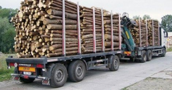 ENVIRONNEMENT : Un Officier des Eaux et Forêts dénonce l'incinération du bois saisi