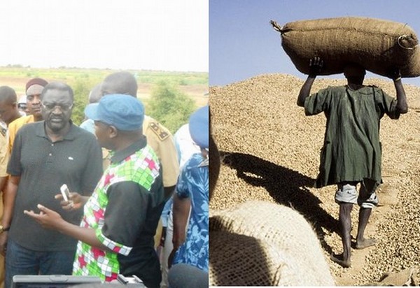 Tournée dans le bassin arrachidier : Le Ministre, Papa Abdoulaye Seck vise l’amélioration de l’agriculture fort et performant