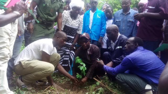 Bignona : Le conseil départemental déroule un projet qui va détourner les populations de l’exploitation abusive de la forêt