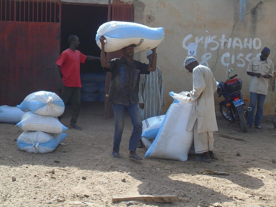  Campagne 2017-218 : 103 tonnes de semences disponibles à Fafacoucourou (MYF) 