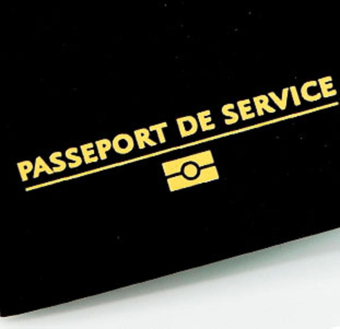 Les lions disposent désormais chacun d'un passeport de service