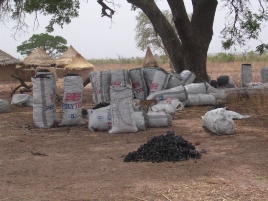 Bounkiling : 115 sacs de charbon saisis à Sinthiou Alimou