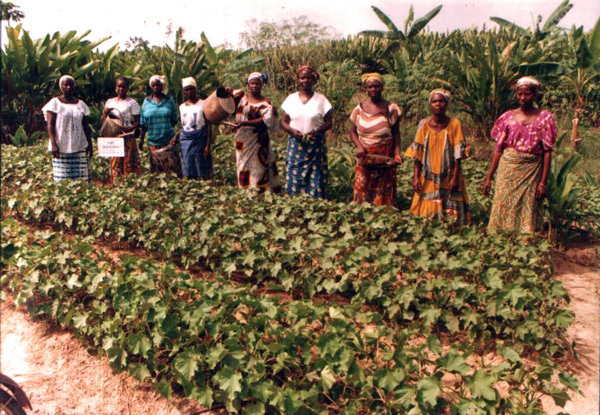 Le Sénégal compte 400 éco-villages