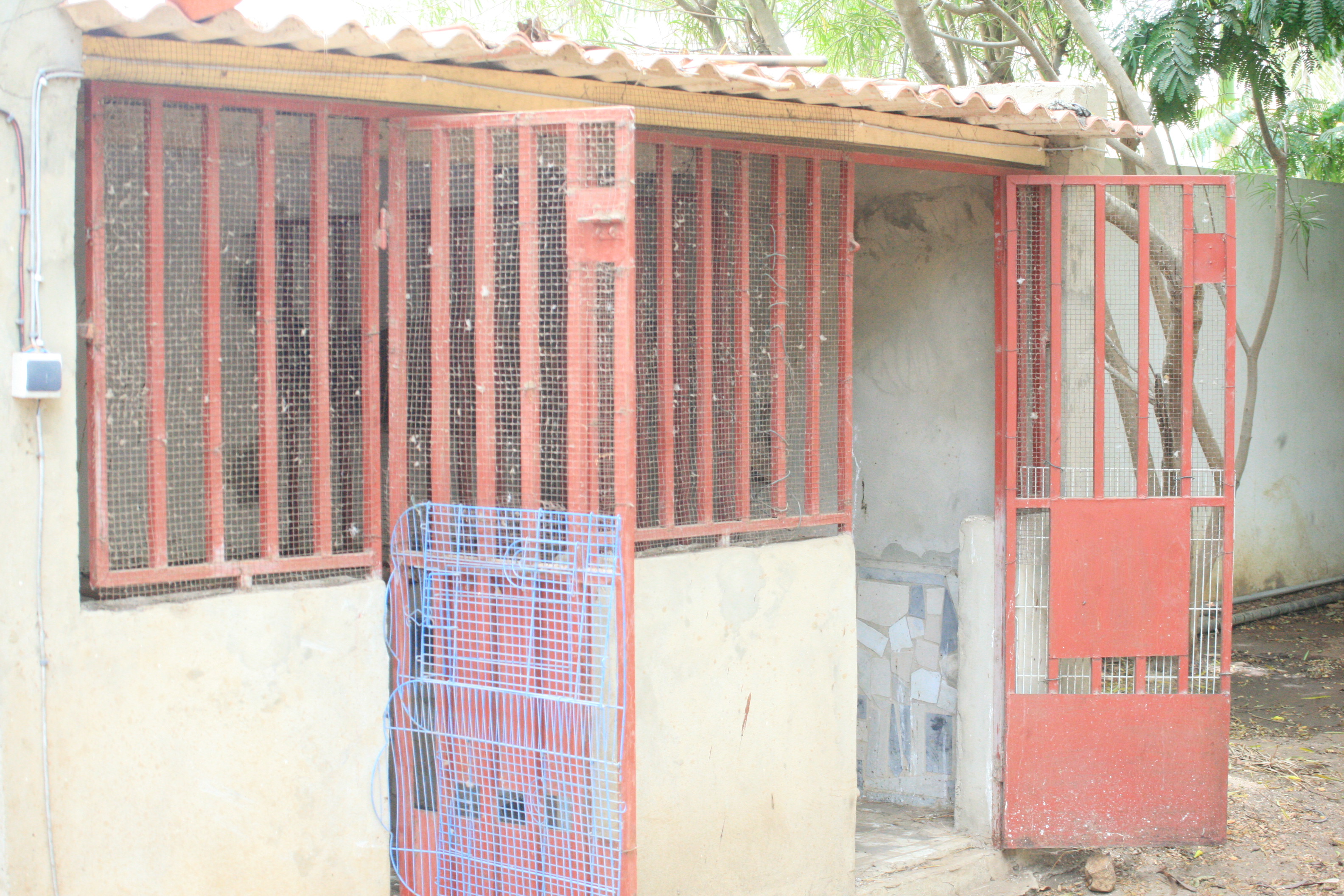 FANN-RESIDENCE : Un locataire transforme la maison des Habré en une porcherie et disparaît avec une ardoise de 17,5 millions 