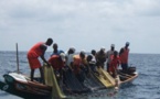 Urgent : Des garde-côtes mauritaniens tirent sur des pêcheurs sénégalais