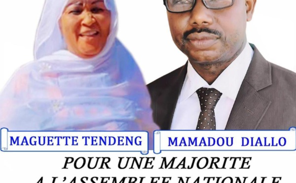 Législatives : Mamadou Diallo et Bunt-Bi à la conquête des suffrages des Ziguinchorois 